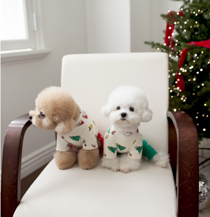 Holiday Knit All-in-One