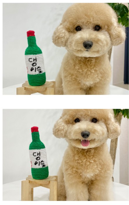 DangSeul Soju Bottle Toy