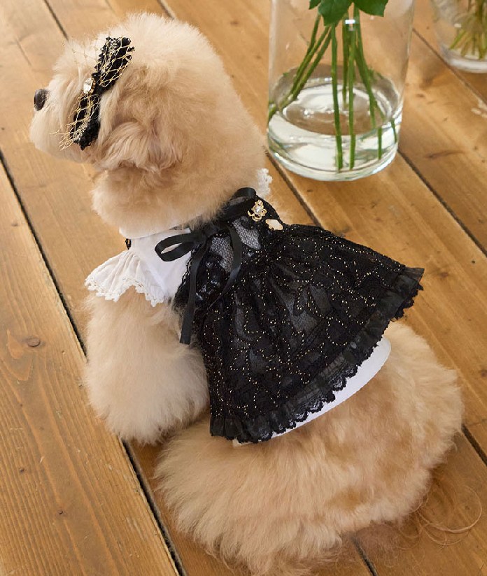 Holiday Bustier (Shine Black) — view 3