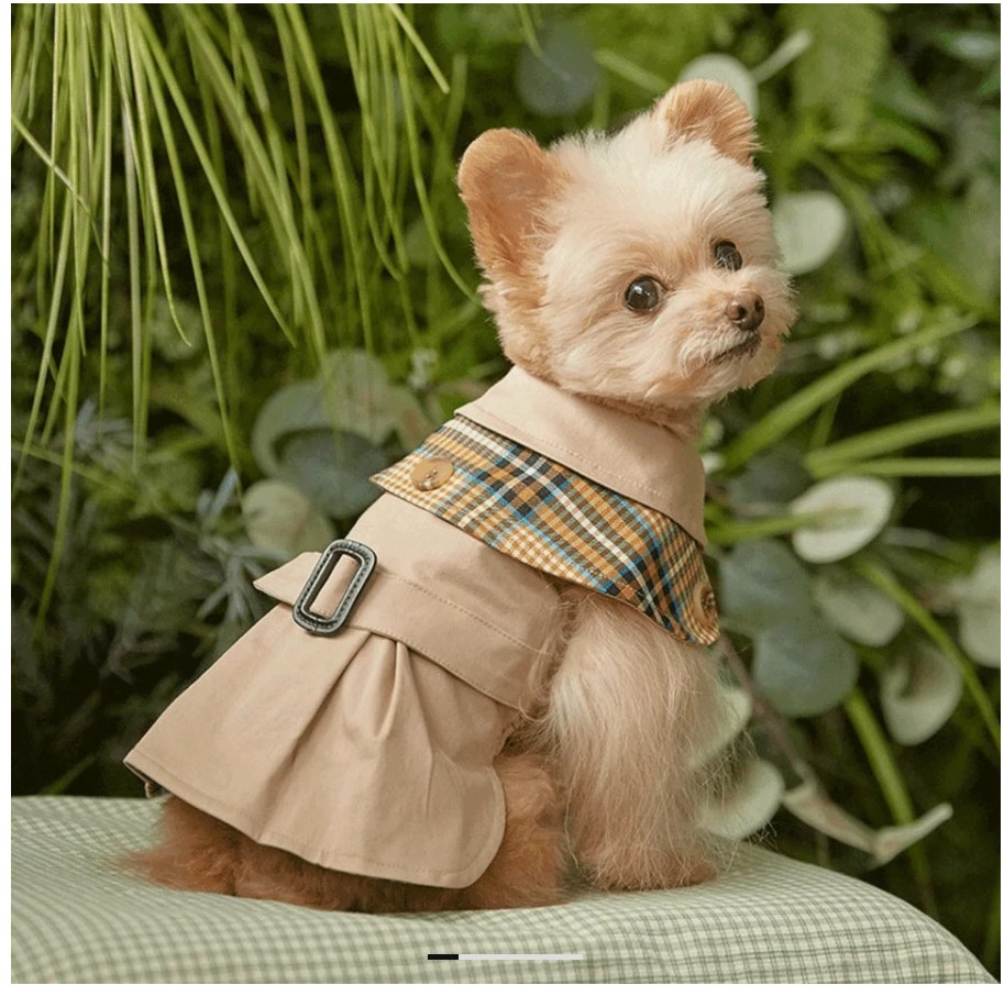 Check Trench Coat — view 2