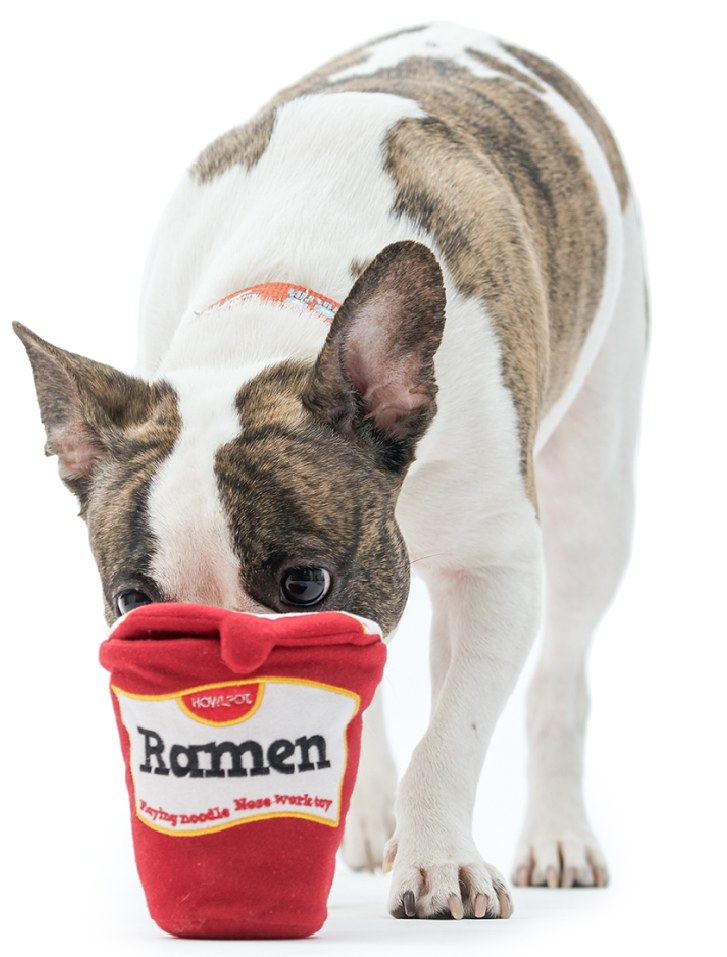 Howlpot Ramen Nosework Toy — view 3