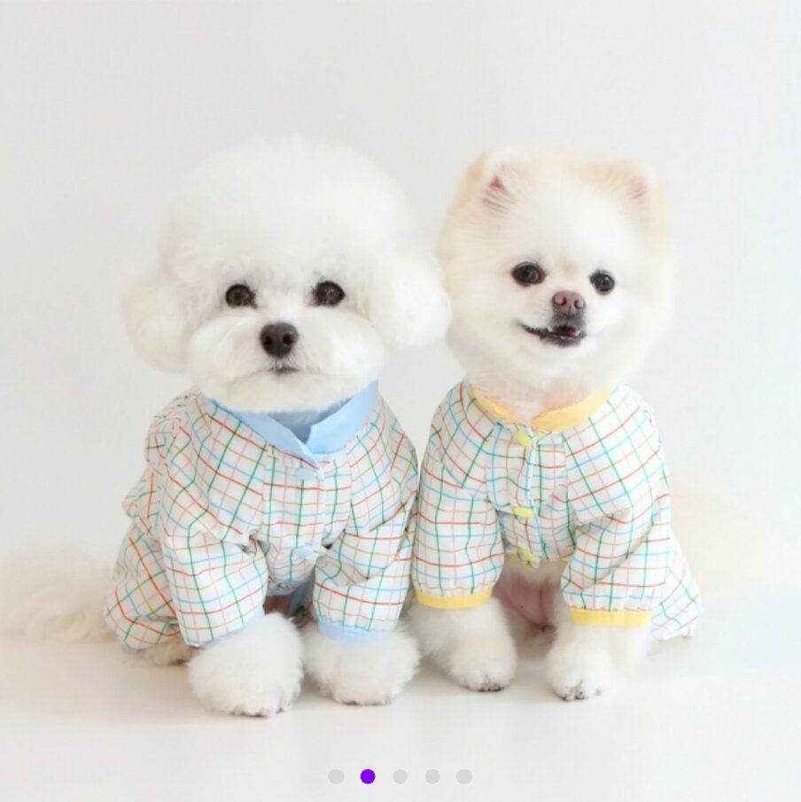 Jelly Bear Poncho Raincoat — view 2