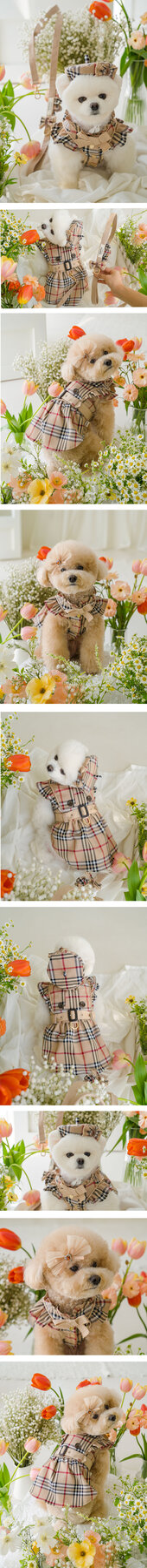 Classic Check Round-Collar Dress — view 3