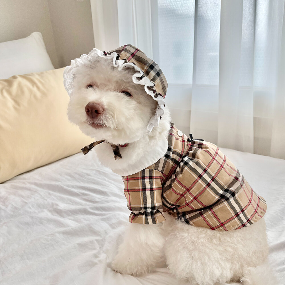 Classic Check Round-Collar Dress — view 4