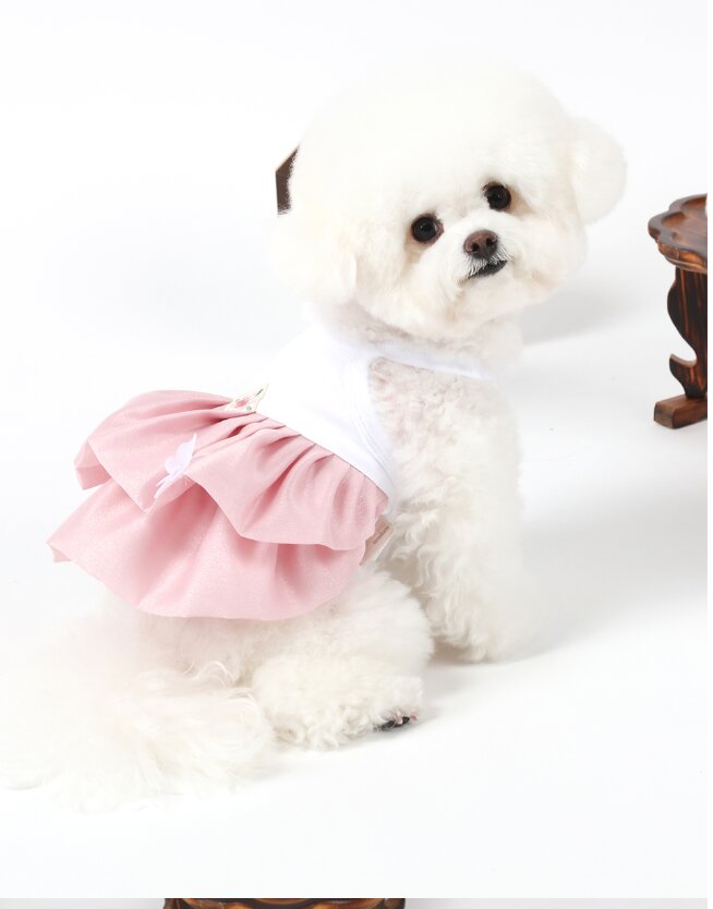 Doha Princess Hanbok — view 2