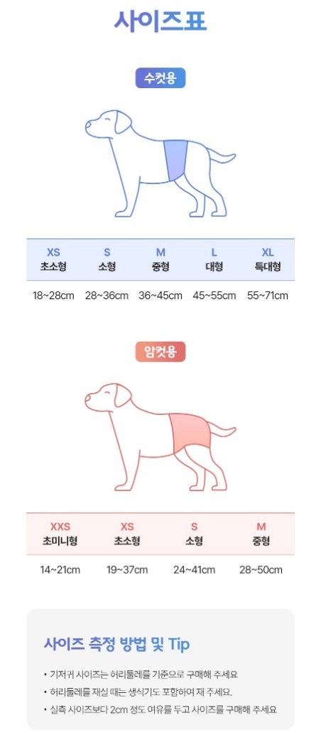 Light Male Pet Diaper — view 4