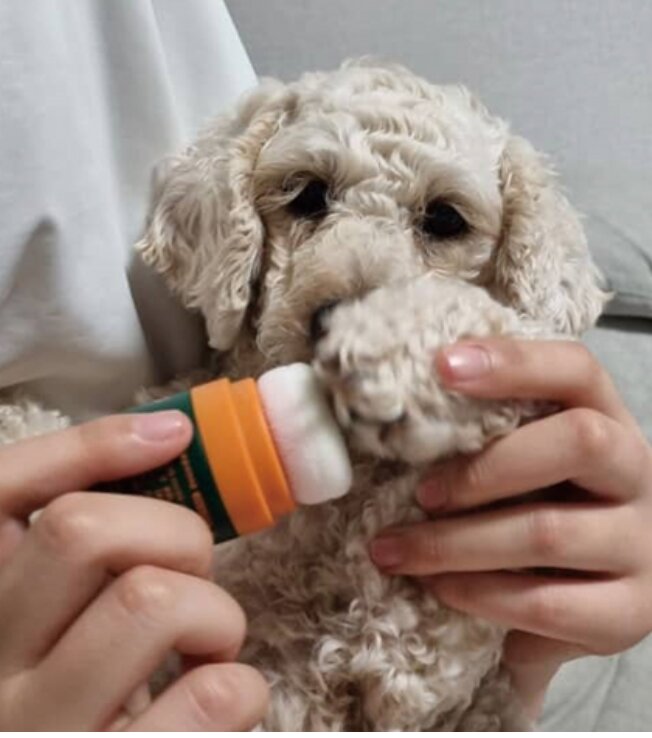Korean Non-slip Paw Powder (Support Knees) — view 4