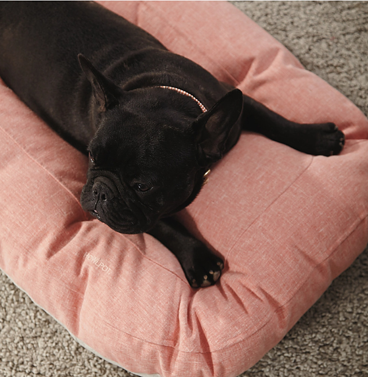 Peach Microfiber Foam Bed — view 2