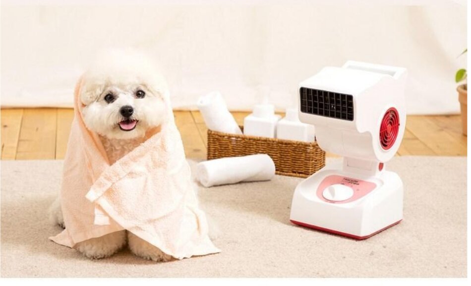 Korean Quiet Pet Dryer — view 2