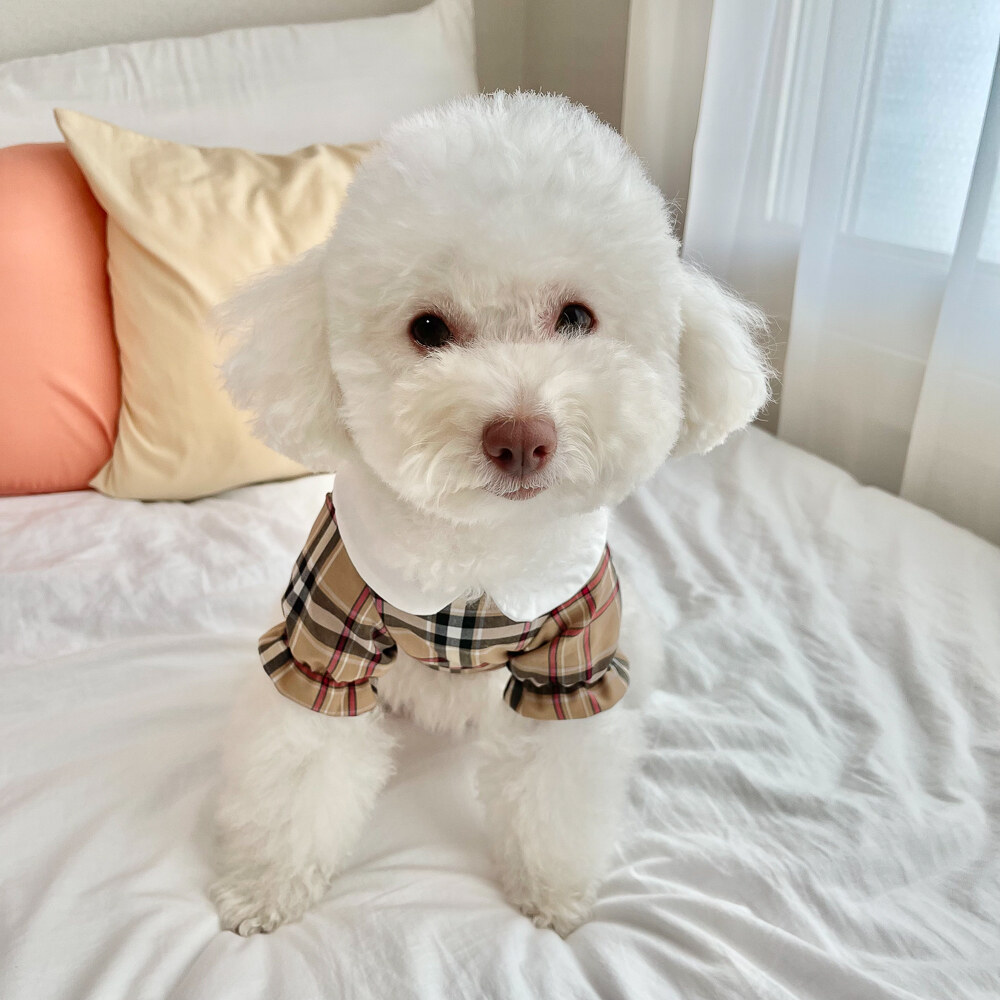Classic Check Round-Collar Dress
