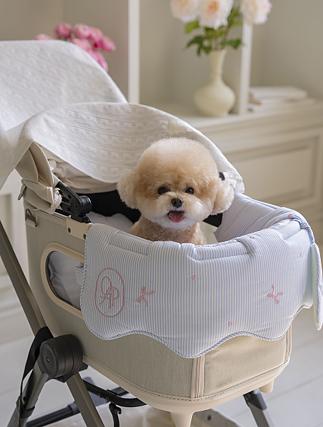 Mellow Buggy Cart with Guard (Dream Sky)