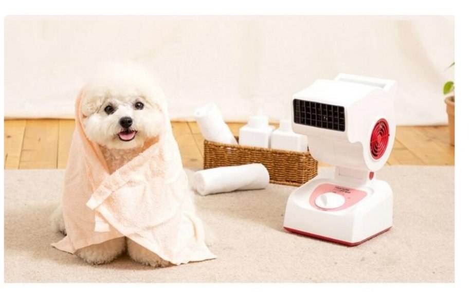Korean Quiet Pet Dryer
